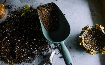 Soil Types & What It Means To Your Garden