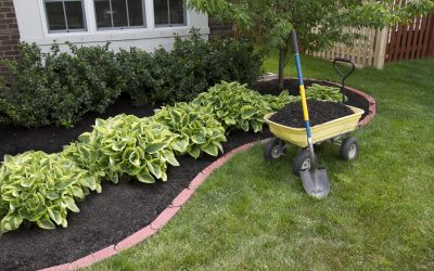 Mulch: A Gardener’s Best Friend