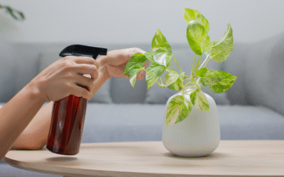 Essential Nutrients for Plant Growth: The Complete Guide to Healthier, Thriving Plants